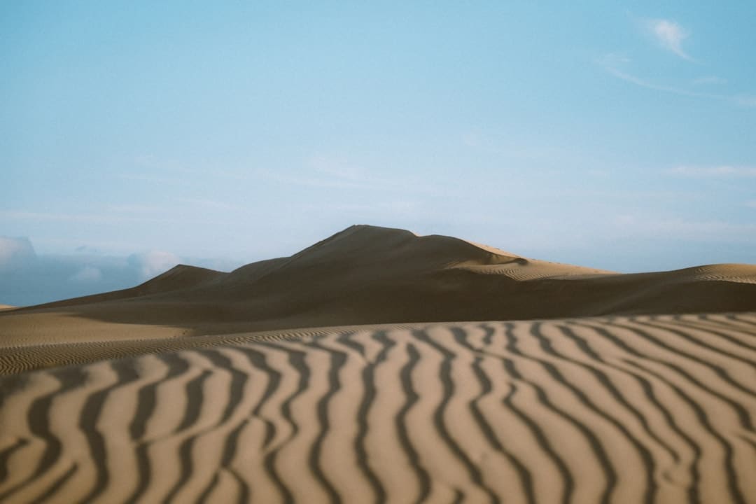 《星期三》第二季发布宣传照 哥特宗族全家福